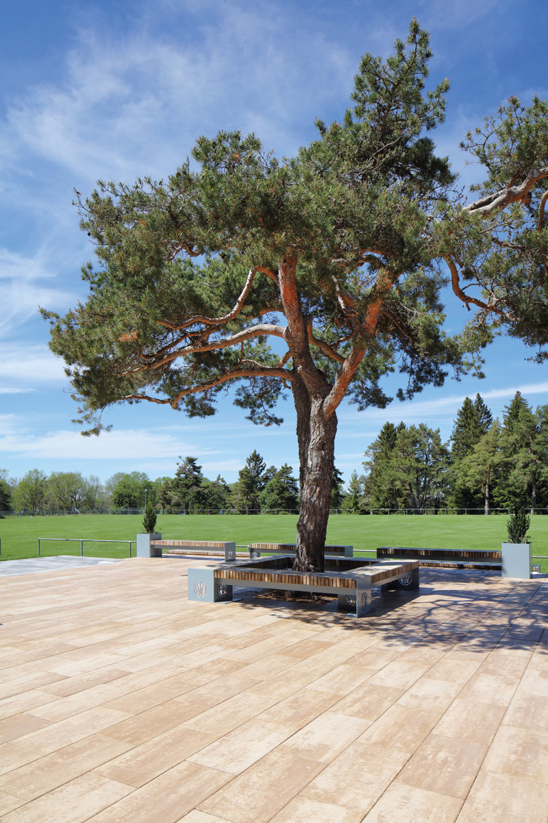 Delgado KBH-Feinoberfläche - Terrassenplatten - 0